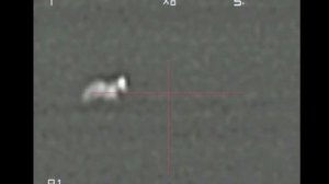 Ночная охота на шакала. Испуганный шакал не хочет останавливаться. Выстрел с крыши авто.