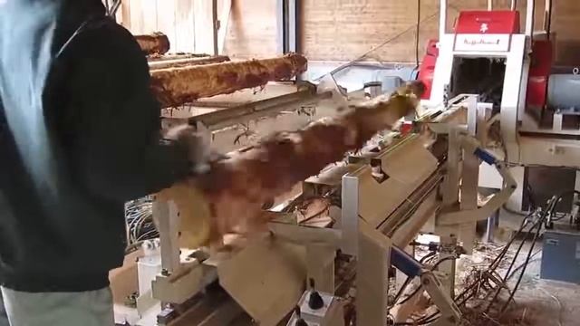 Нового пилорама 2017 смотреть онлайн