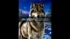 Блатной удар - Это Кавказ