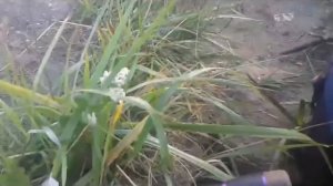 Спиннинг на Тэц 2 Смоленск