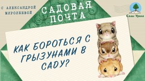 Садовая почта: Как бороться с грызунами в саду? Выпуск 11