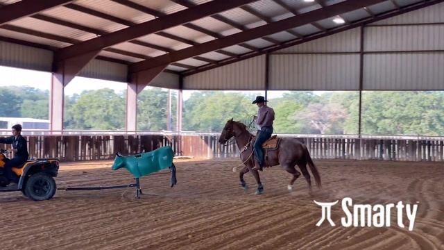 Rope Horse Futurity Drills: Hunter Koch смотреть онлайн