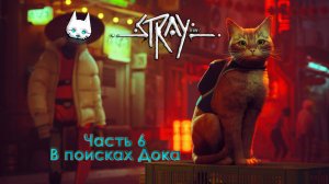 Stray. Часть 6. В поисках Дока