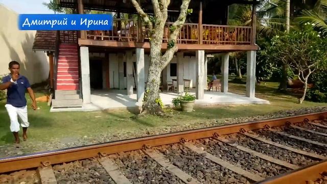 ОТДЫХ НА ШРИ ЛАНКЕ ^ БЕНТОТА Шри Ланка ЕДА, ЦЕНЫ! Отдых БЕНТОТА! ЕДА на ШРИ ЛАНКЕ отдых в БЕНТОТЕ :