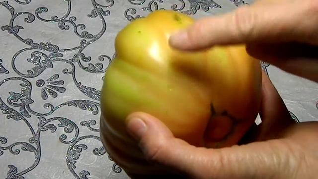 Томат Красный слон. Тест зрелых плодов. смотреть онлайн