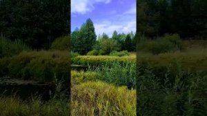 Малиновка. Первомайск. Нижегородская область. река Алатырь.