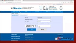 Как получить талон по ИП онлайн