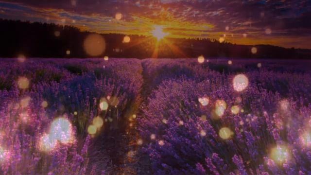 С Днем Рождения Ника! (поет Юлия) смотреть онлайн