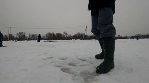 Платный форелевый пруд в Туле! Способы ловли форели зимой. Вибы, паста и эхолот "Практик"