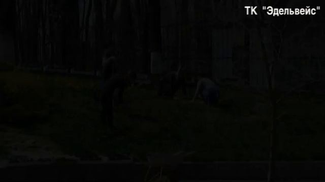 Прогулка по парку "Юность"