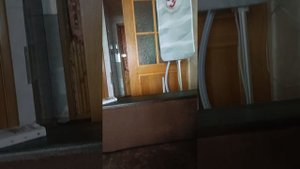 как вызвать пьяного ёжика