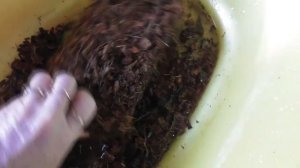 КОКОСОВЫЕ ЧИПСЫ/ НАПОЛНИТЕЛЬ ДЛЯ ЧЕРЕПАХИ