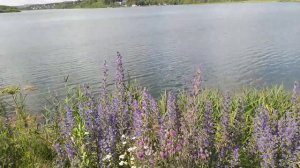 Озеро в Новокузнецком районе посёлок Листвяги