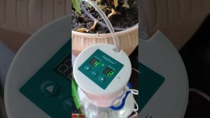 easy irrigation system (система капельного полива с таймером)