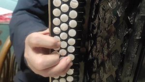 новый цельнопланочный баян,цена 165, продается срочно! 8-925-508-79-26/ телефон/вацап