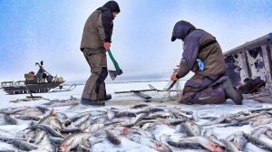 РЫБАЛКА ЧТОБЫ ВЫЖИТЬ! ОДНА ЛУНКА 100 "КРОКОДИЛОВ"! Рыбалка в Заполярье часть 9