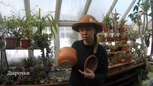 Всё про горшки взрослых литопсов, живых камней. Самое информативное видео