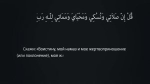 Аяты, которые важно знать всем!