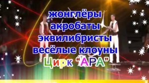 Цирк ара