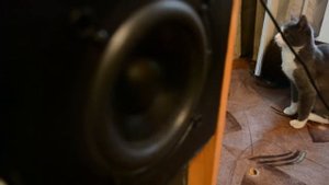 Microlab FC-550 bass test (54W)