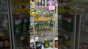 Семена Успеха магазин