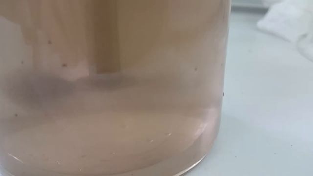 Коагуляция подтоварной воды. Коагулянт Т53 + флокулянт AN 934 SH ecokhim смотреть онлайн