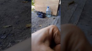 моторное масло mol 5w40 prima купленное в магазине pit line за 756 грн за канистру 4л, осенью 22ого