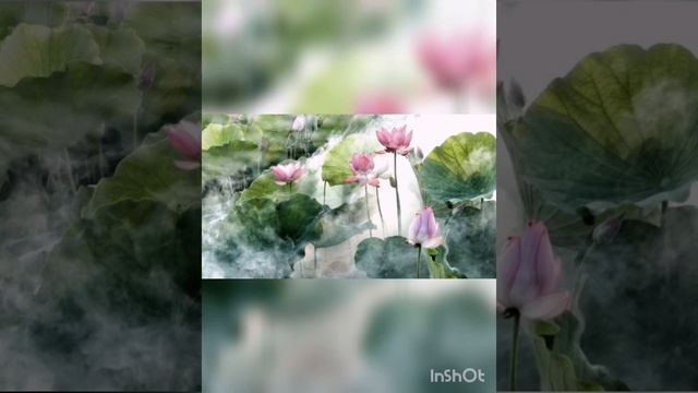 Бханд Джамиэ медленная рецитация #мантра #шабд #медитация #кундалинийога смотреть онлайн