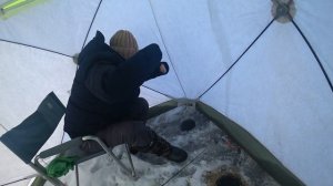 Ловля чебака,Белоярское водохранилище , 15 декабря 2023 год