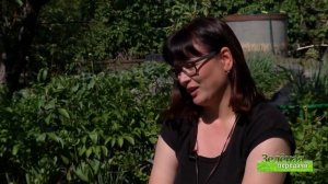 2020 06 04 Зелёная передача