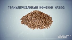 Конский навоз  на садовом участке