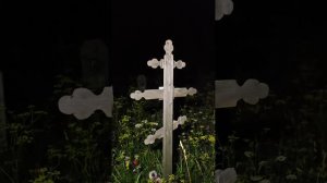 ПОРЧА , КРАДНИК