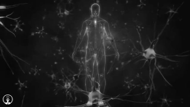 PRUEBA ESCUCHAR 1 MINUTO y NO PODRAS PARAR - AMOR, MILAGROS y BENDICIONES de LA MADRE CÓSMICA смотреть онлайн