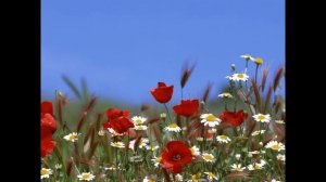 Ақбота Керімбекова - Ұстазым (Караоке)