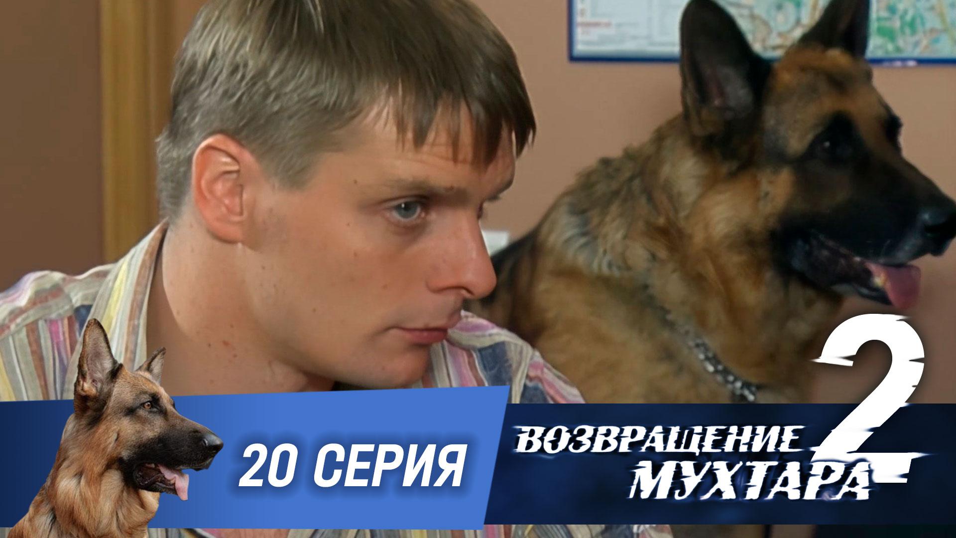 Возвращение Мухтара  2. 20 серия. Бегун