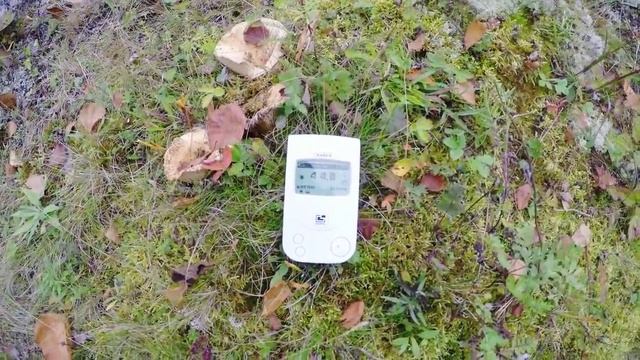 Экологическое обследование острова Макаринсаари (Ладожское озеро) смотреть онлайн