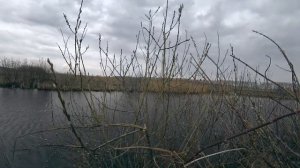 Охота на селезня с подсадной уткой апрель 2023