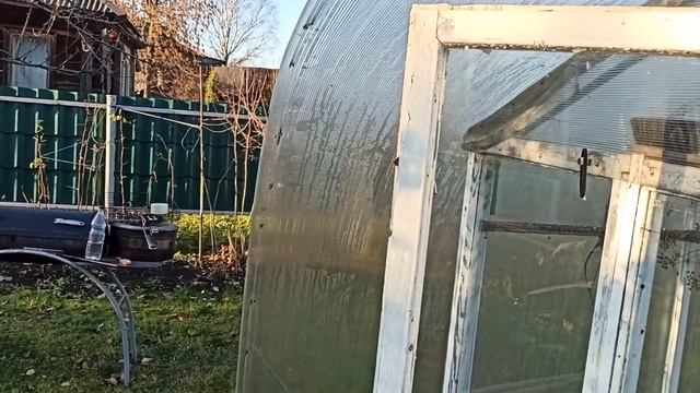 Простая теплица из старых оконных рам.