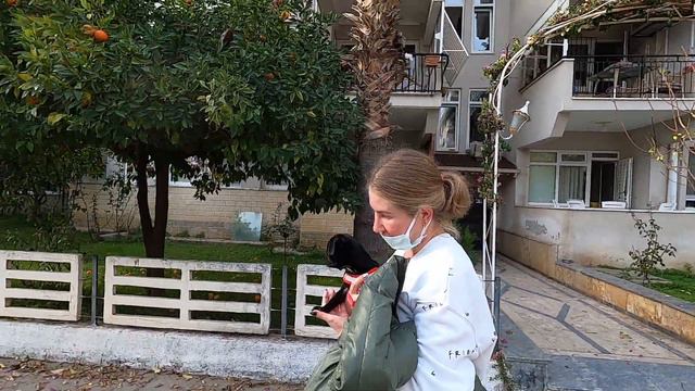 #Аланья #Турция. 🐶Паймон ( Paimon) на море.Шашлык на Рождество с друзьями  #Alanya 2021.