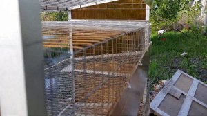 Пятиярусная клеточная батарея для перепелов своими руками.