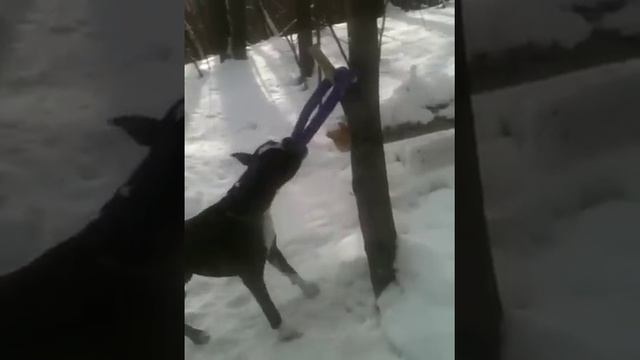 Шварц, снимающий пуллер смотреть онлайн