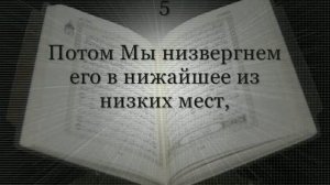 Сура 95. Смоковница