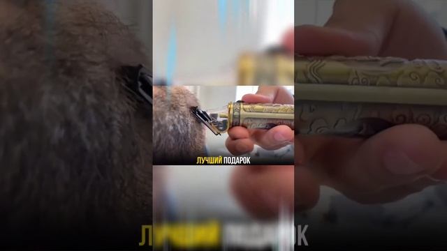 Какой Триммер купить для мужика ?,Триммер XPower 1 идеальный подарок для мужчин смотреть онлайн