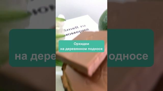 Аромат шоколада и древесины смотреть онлайн