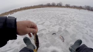 Рыбалка на КРУПНОГО ОКУНЯ | снасть ЛЕСОТКА и ЧЁРТИК