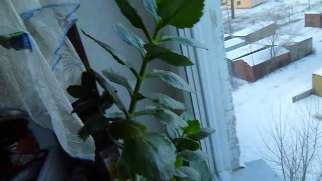 Lumix DMC-FX70 Video Test