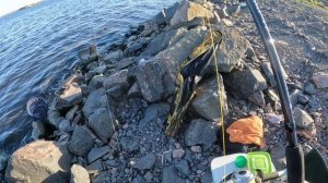 Ловим на дамбе. Фидер ЮБФЗ