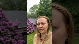 Обращение к подписчикам. Последние новости. Влад Бахов