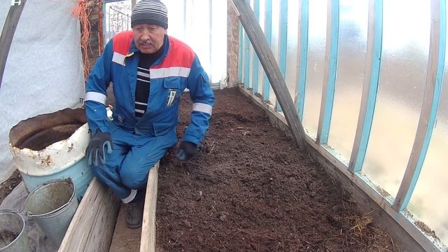 Огурцы Посадка огурцов в теплицу на севере Часть 2 смотреть онлайн