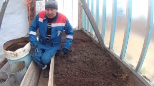 Огурцы  Посадка огурцов  в теплицу на севере  Часть 2